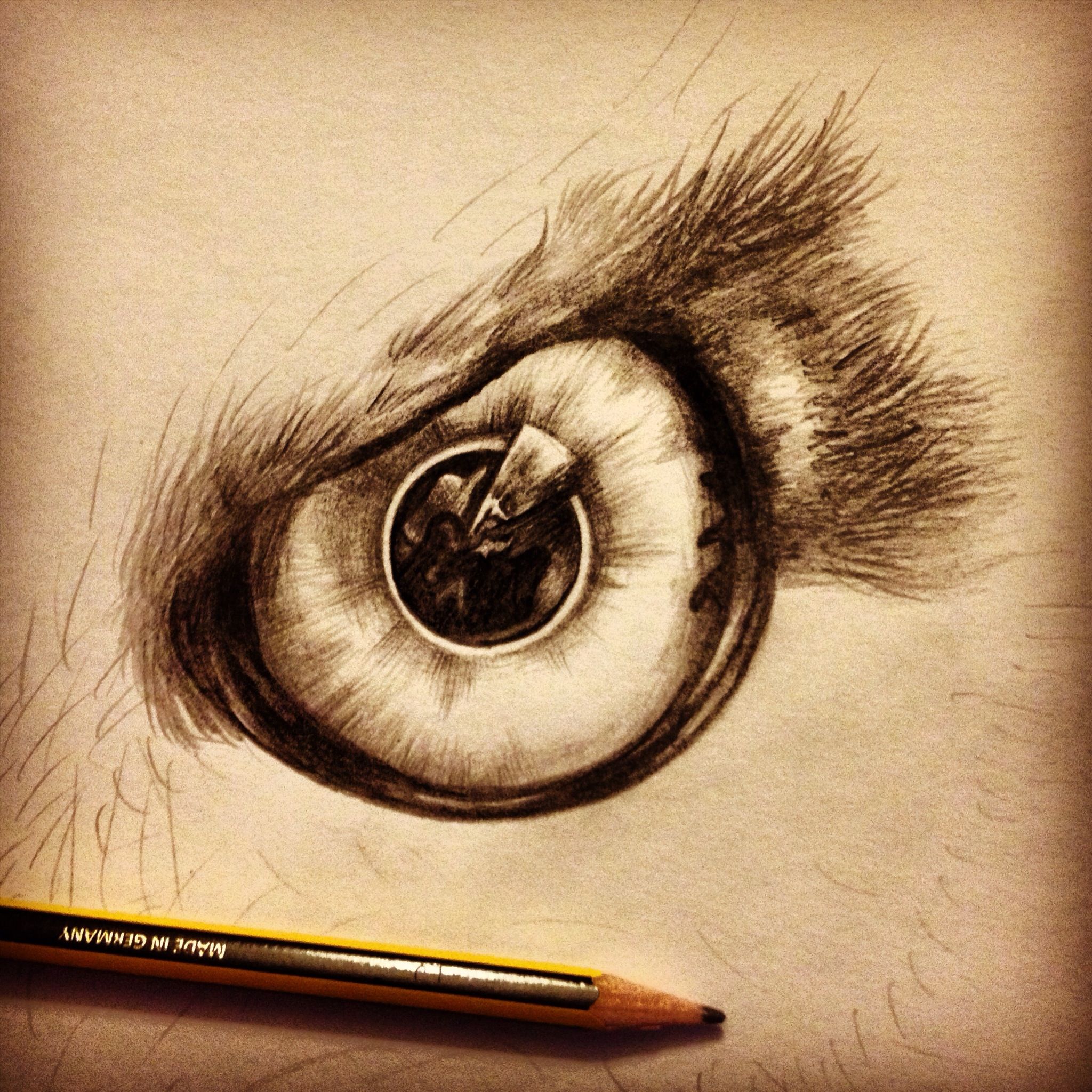 2048x2048 Start Of A Sketch.. Owls Eye Creative Owls Owl - Owl Eyes Sketch