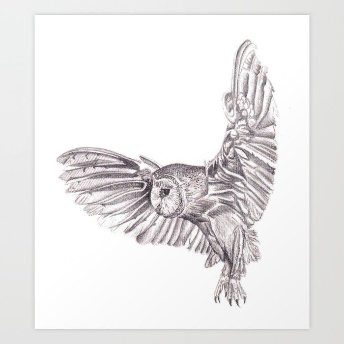 700x700 Pencil Drawing - Owl In Flight Sketch