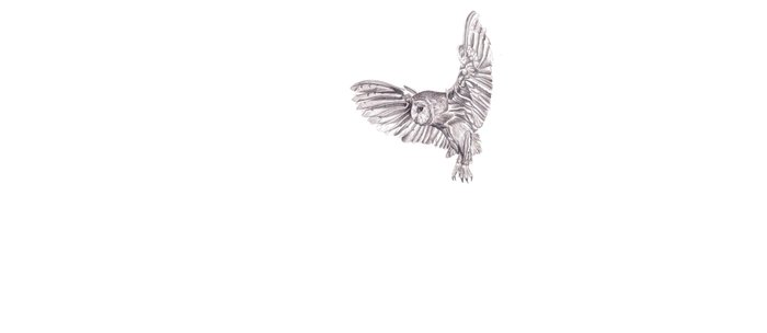 700x304 Pencil Drawing - Owl In Flight Sketch