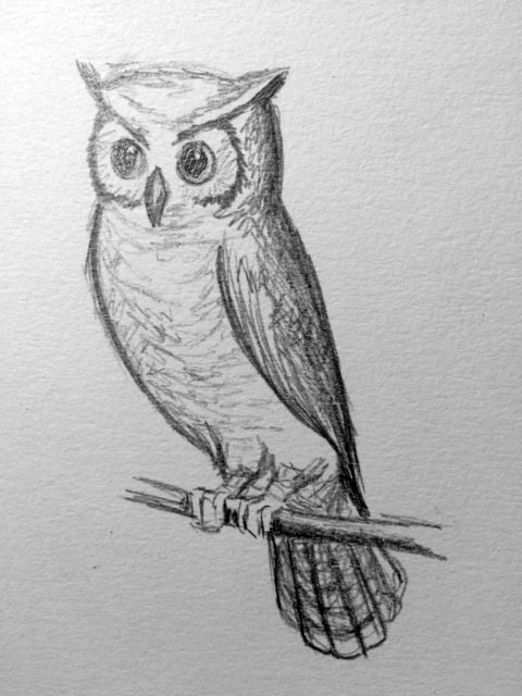 Owl Pencil Sketch at PaintingValley.com | Explore collection of Owl ...