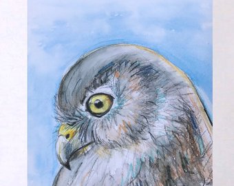 Owl Pencil Sketch at PaintingValley.com | Explore collection of Owl ...