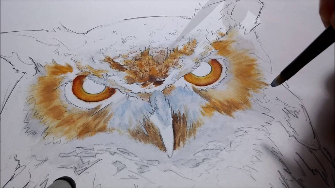 1280x720 Step By Step - Owl Pencil Sketch