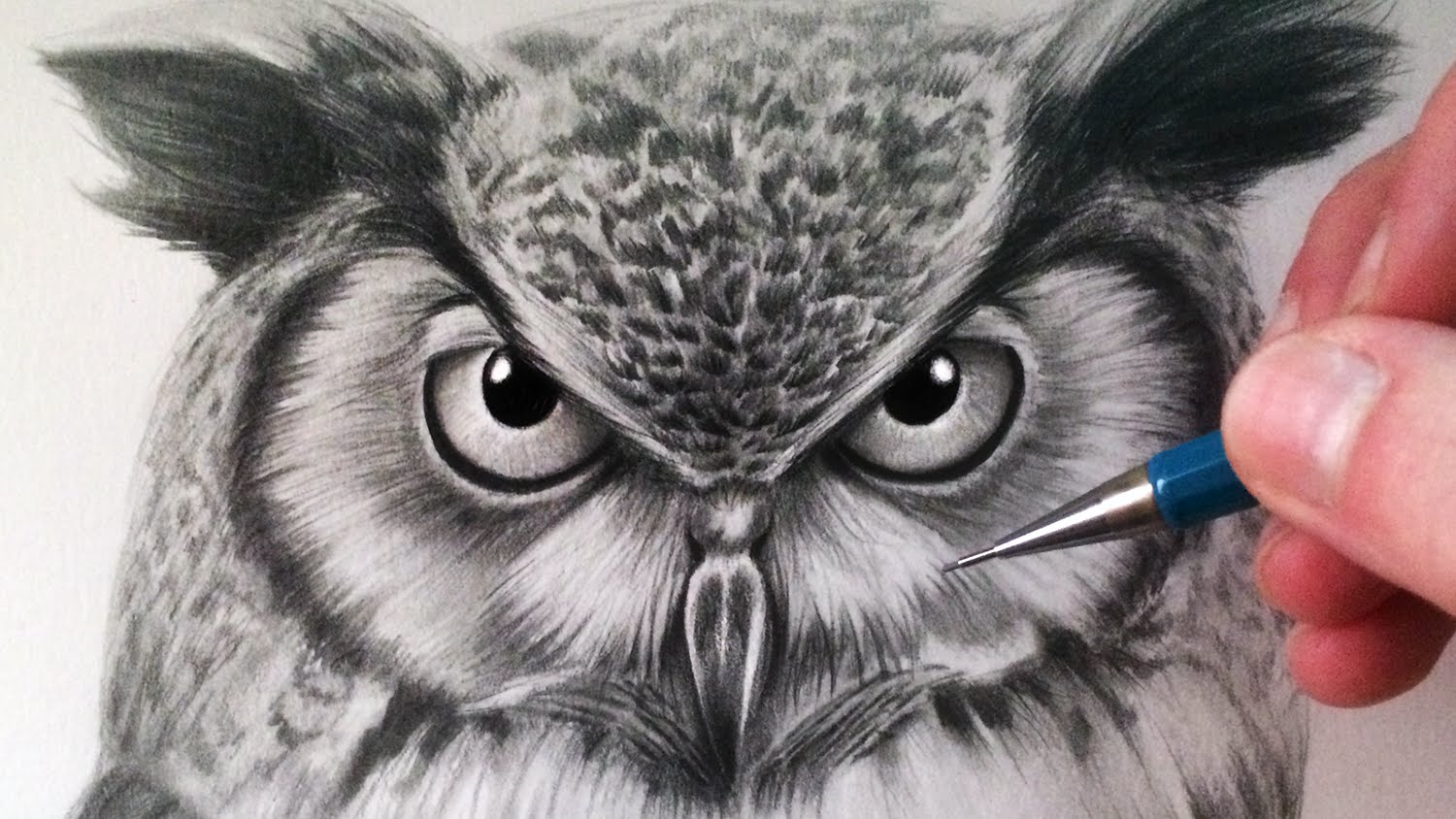 1500x844 How To Draw An Owl - Owl Pencil Sketch