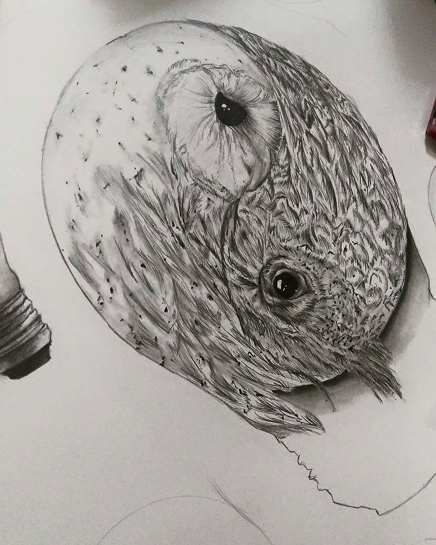 863x1078 Jerelyn Lee - Owl Sketch