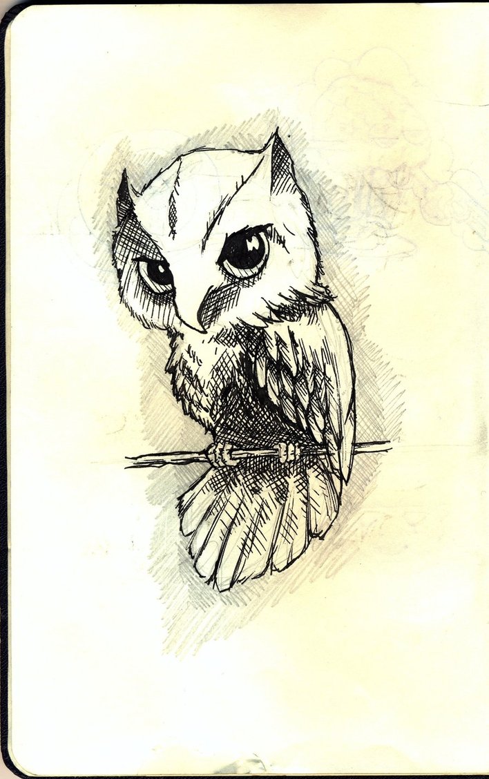 708x1128 Owl Sketch By Wansart - Owl Sketch