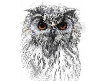 340x270 Owl Sketch Etsy - Owl Sketch
