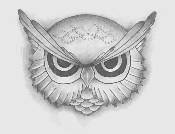 600x460 Owl Drawings - Owl Sketch