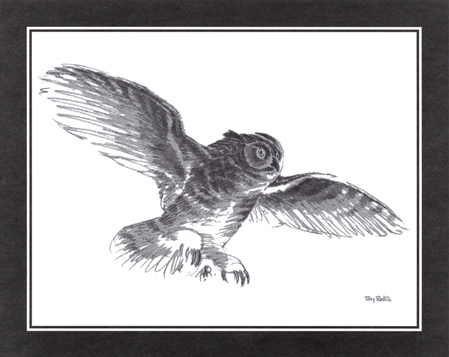 449x357 Owl Sketch Redlin Art Center - Owl Sketch Art