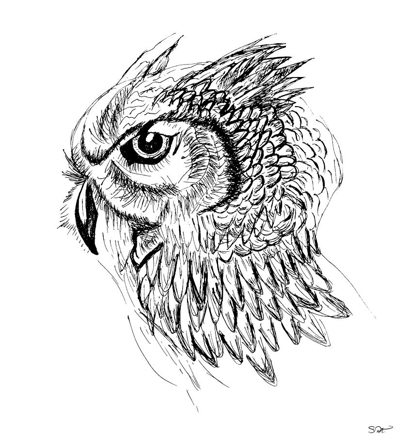 846x900 Owl Sketch Drawing By Abstract Angel Artist Stephen K - Owl Sketch Art