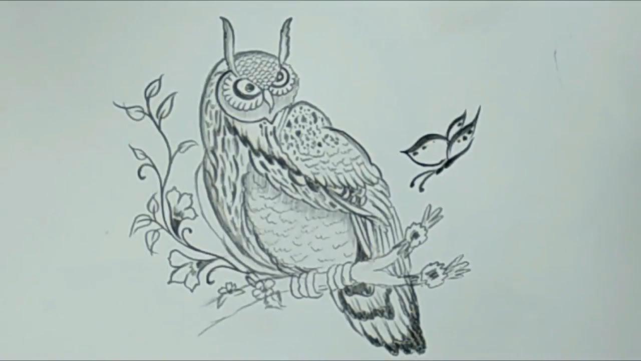 1280x720 Pencil Sketches Easy - Owl Sketch Art