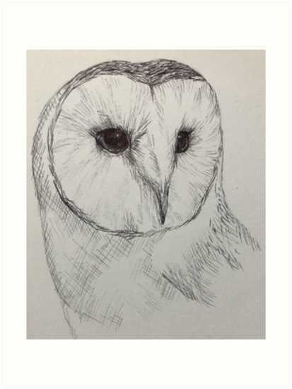 413x549 Barn Owl Sketch Art Prints By Alicedesigns297 Redbubble - Owl Sketch Art
