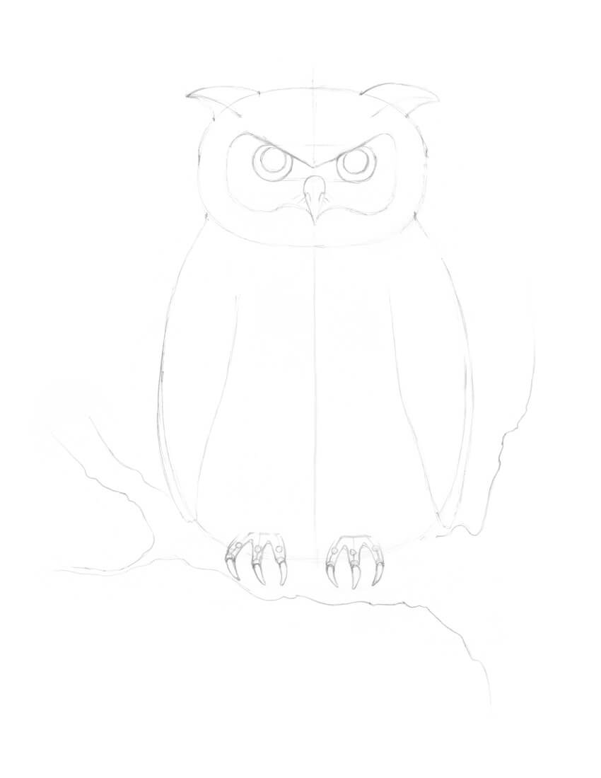 850x1100 How To Draw An Owl - Owl Sketch Drawing