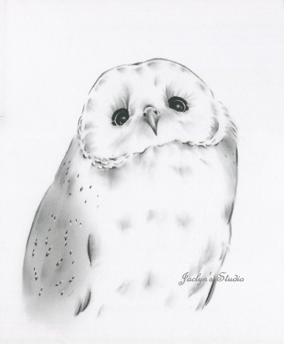 570x690 Original Barn Owl Charcoal Drawing 11x14 Barn Etsy - Owl Sketch Drawing
