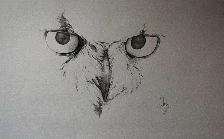 762x475 Owl Face Sketch Drawing By Ivan Patino - Owl Sketch Drawing