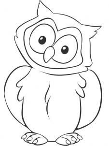 226x302 How To Draw A Owl Step 6 Art Owl, Drawings And Owl Art - Owl Sketch Easy