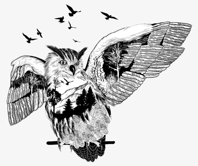 650x547 Flying Owl Sketch, Owl Clipart, Black, Line Png Image And Clipart - Owl Sketch Images