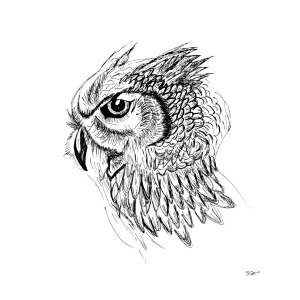 300x300 Owl Sketch Drawing By Abstract Angel Artist Stephen K - Owl Sketch Pictures