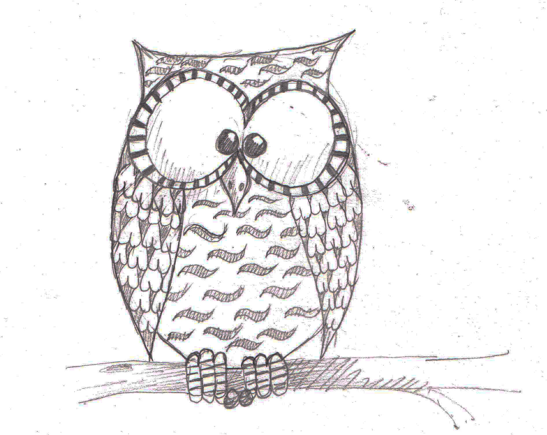 1894x1506 Owl Sketch - Owl Sketch Pictures