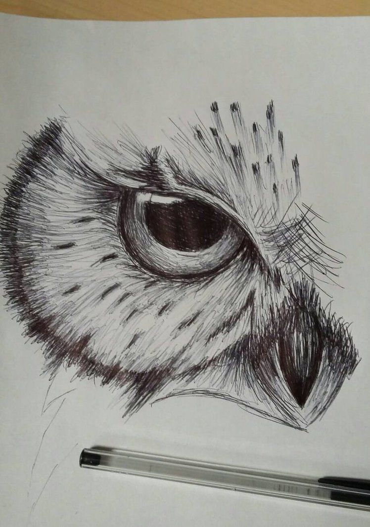 748x1067 Owl Sketch By Cdkingof1982 Art In General In 2018 - Owl Sketch Pictures