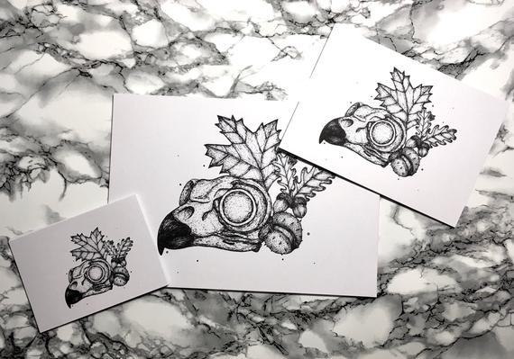 570x399 Owl Skull Illustration Etsy - Owl Skull Sketch