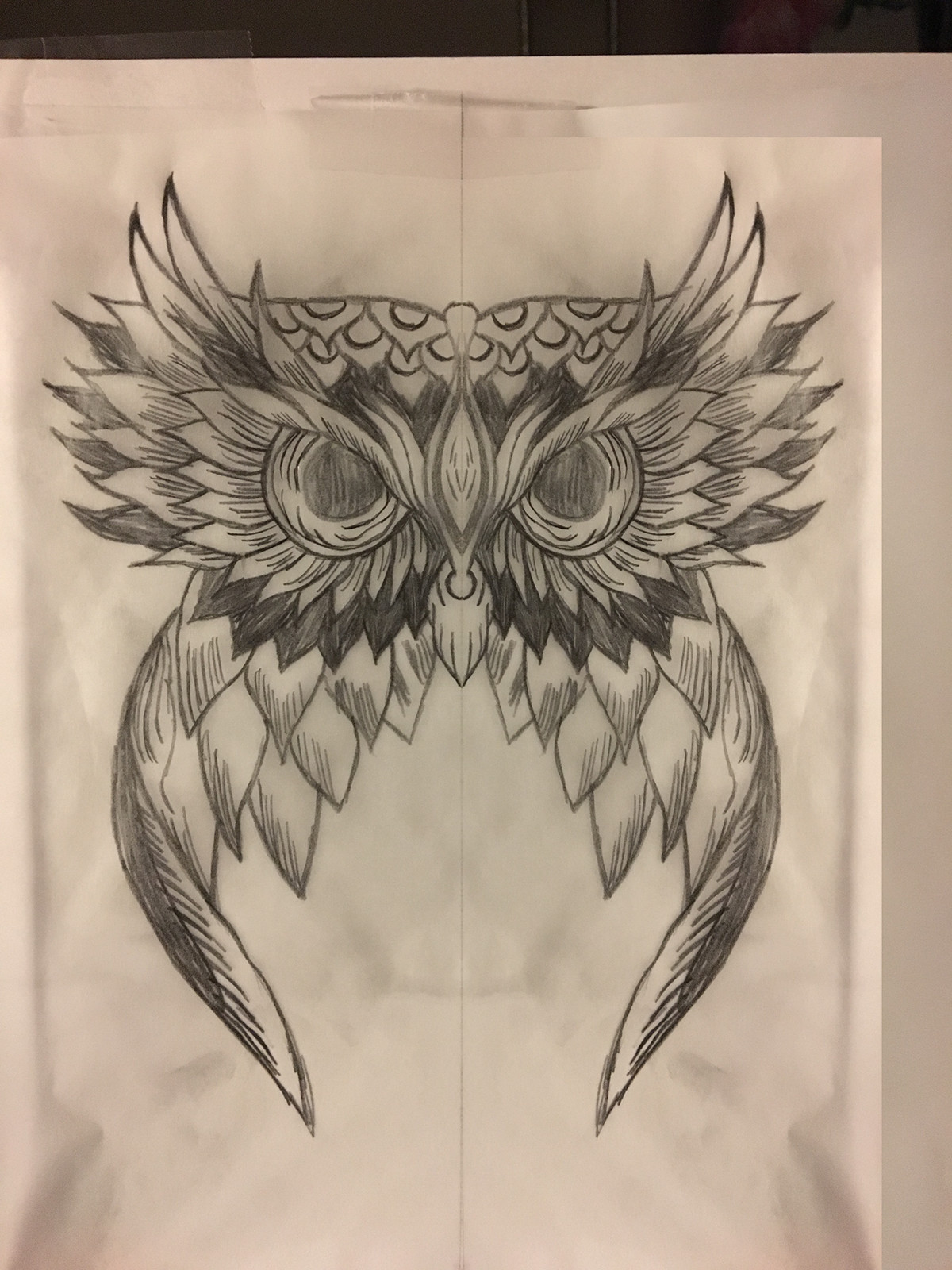 1200x1600 Owl Skull On Behance - Owl Skull Sketch