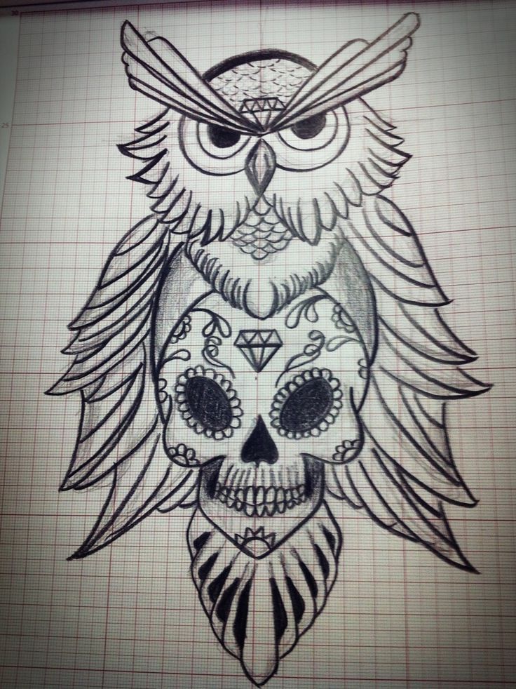 736x982 Owl Sugar Skull Clipart - Owl Skull Sketch