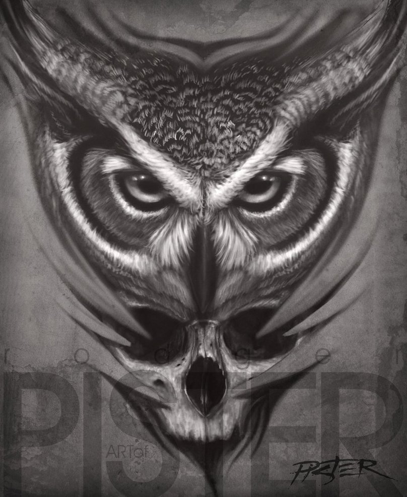 808x988 Owl And Skull By Rodgerpister - Owl Skull Sketch