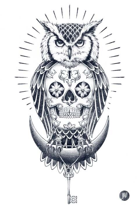 478x720 Owl And Skull Illustration 1 Robs Favs Skull - Owl Skull Sketch