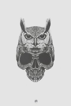 236x354 Owl By Alejandro - Owl Skull Sketch