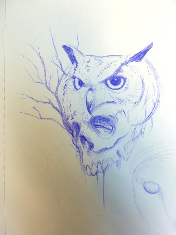 600x800 Owl Skull By Mully Original Art - Owl Skull Sketch