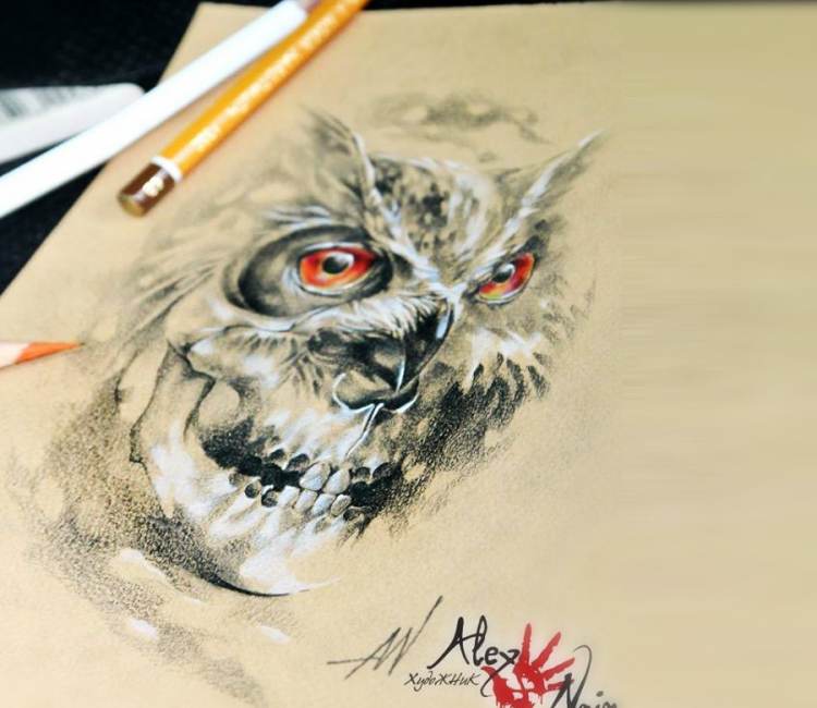 750x650 Owl Vs Skull Drawing By Alex Noir Post 17303 - Owl Skull Sketch