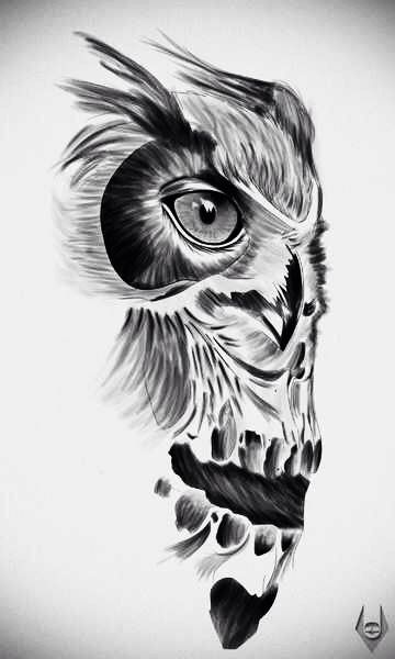 360x600 Pin By Aman Lail On Awesome Tattoos Tattoos, Tattoo - Owl Skull Sketch
