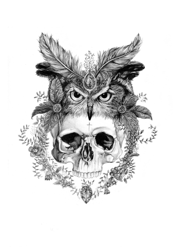 724x1024 Skull With Owl Headdress A3 Pencil Drawing. Personal - Owl Skull Sketch
