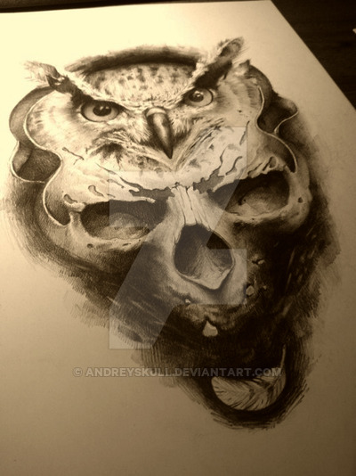 400x534 Owl And Skull By Andreyskull - Owl Skull Sketch