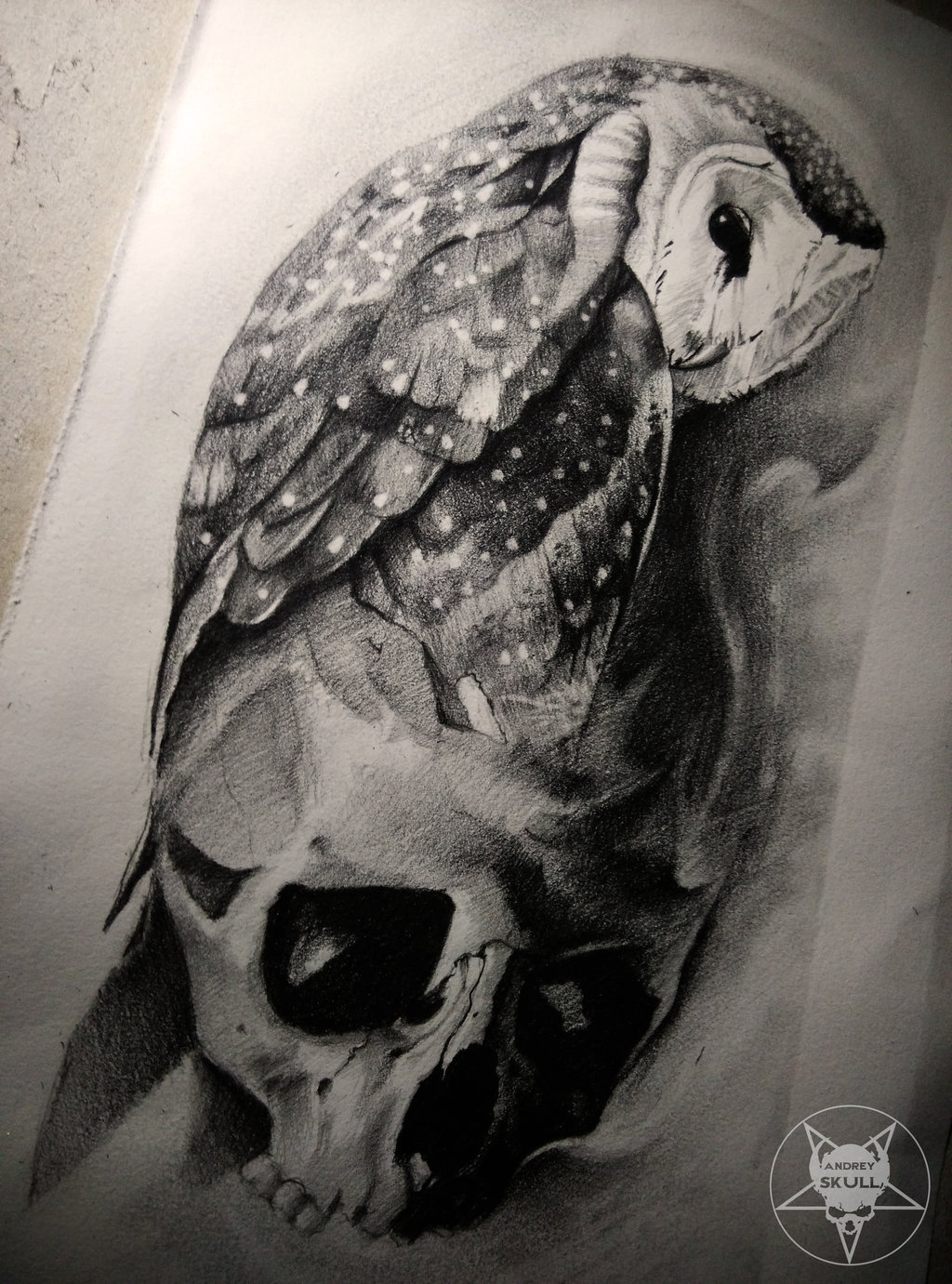 1024x1381 Owl By Andreyskull - Owl Skull Sketch