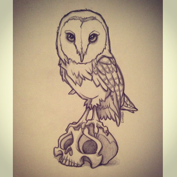 612x612 Steen182 - Owl Skull Sketch
