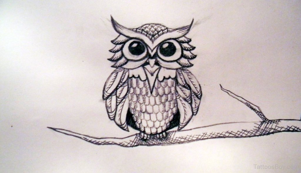 1024x589 Owl Tattoos Tattoo Designs, Tattoo Pictures - Owl Tattoo Sketch
