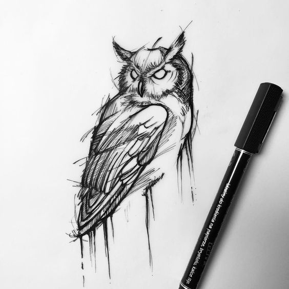 564x564 Pin By Damian Stachowicz On Tattoo Tattoos, Drawings - Owl Tattoo Sketch