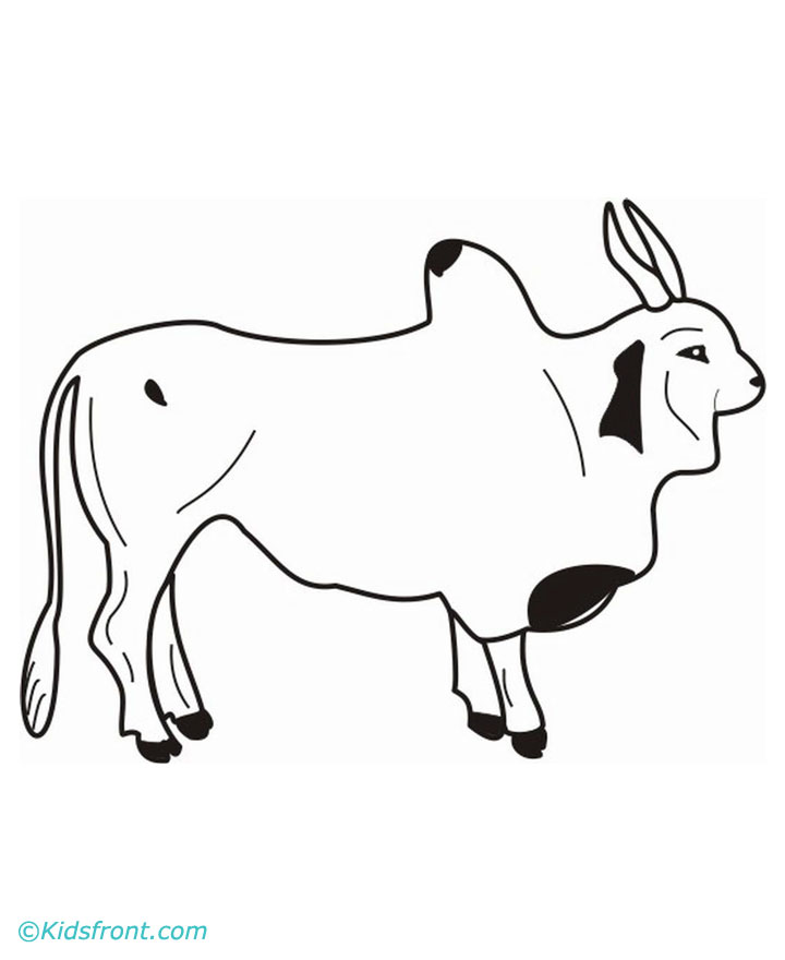 720x880 Ox Drawing, Pencil, Sketch, Colorful, Realistic Art Images - Ox Sketch