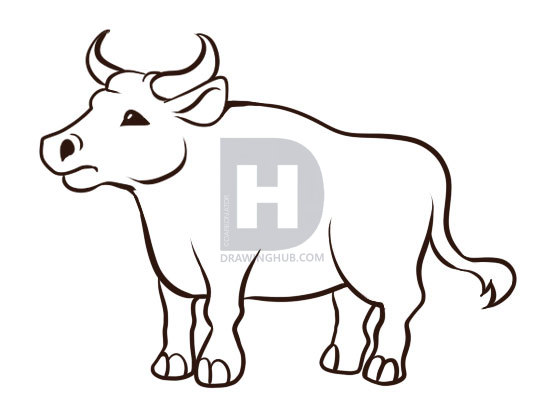 551x415 How To Draw An Ox, Step By Step, Drawing Guide, By Darkonator - Ox Sketch