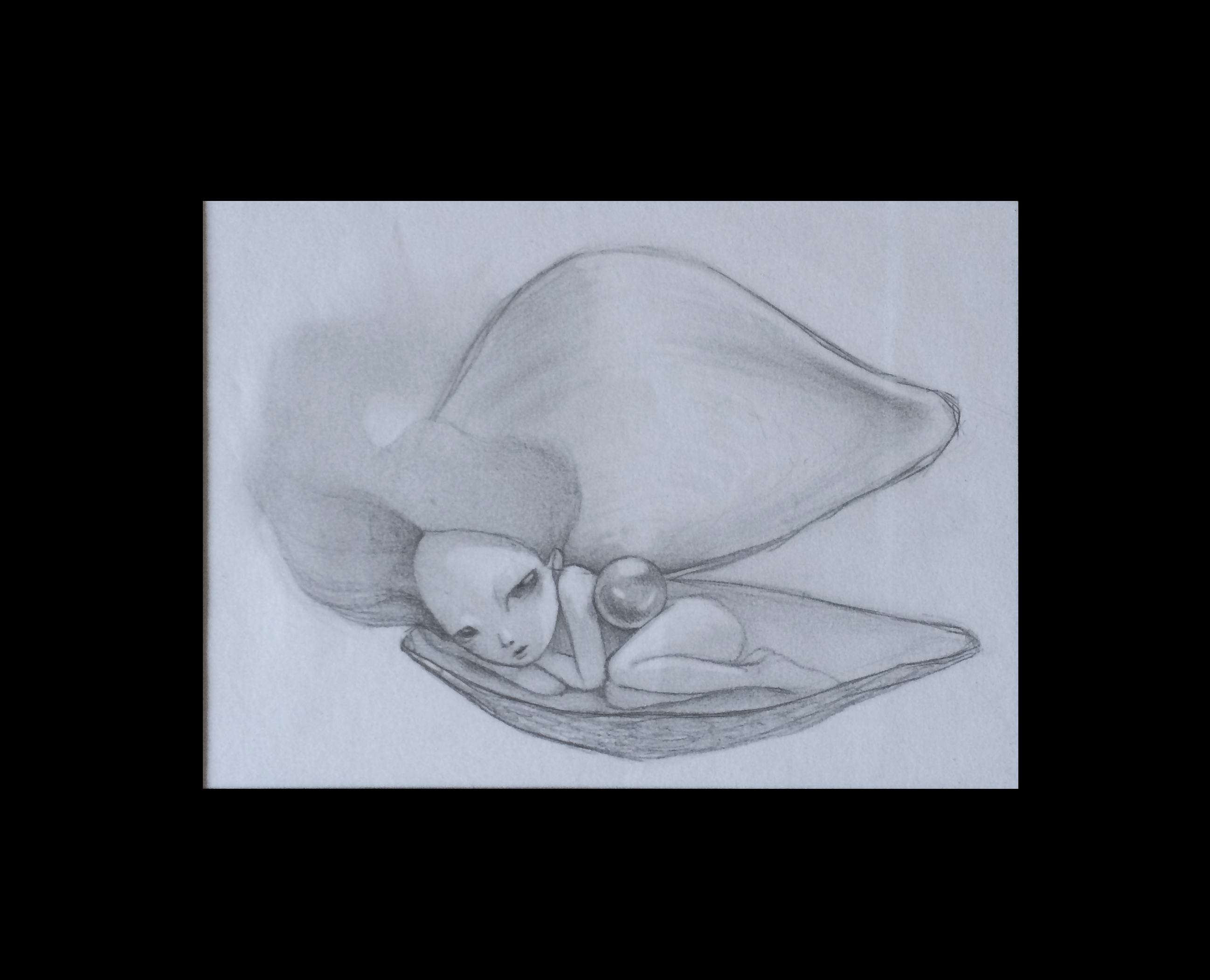 2595x2102 Oyster - Oyster Sketch