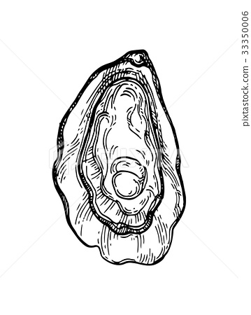 359x450 Oyster Ink Sketch. - Oyster Sketch
