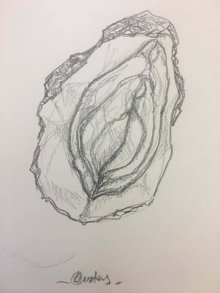 900x1200 Saul Pardi On Twitter Oyster - Oyster Sketch