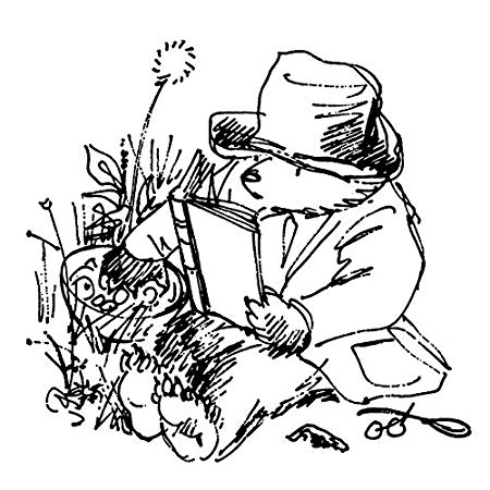 450x450 Paddington Bear Sitting Sketch Canvas Prints, Multi Colour 40 X - Paddington Bear Sketch