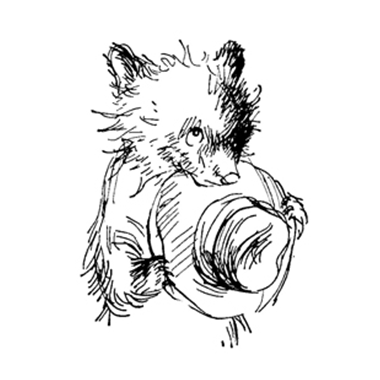 380x380 Peggy Fortnum - Paddington Bear Sketch