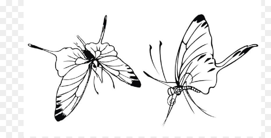 900x460 Monarch Butterfly Gongbi Painter - Painter Sketch