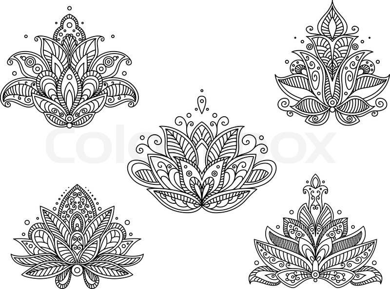 800x594 Set Of Persian Paisley Flowers In Outline Sketch Style Isolated On - Paisley Sketch
