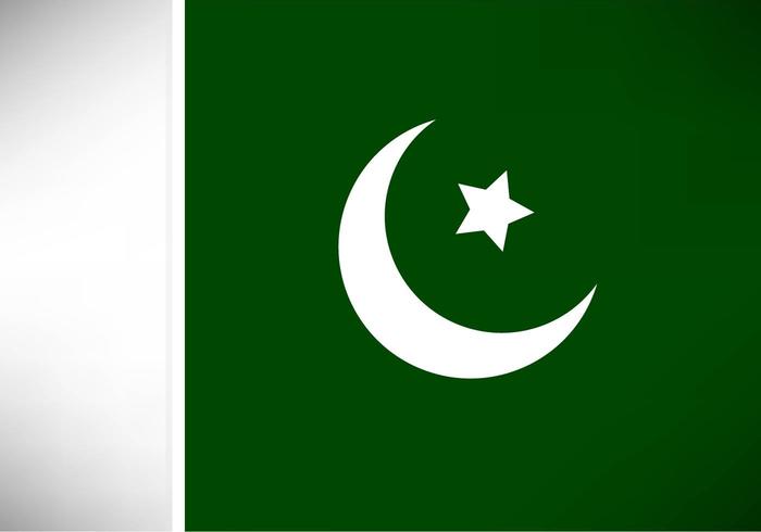 700x490 Free Vector Pakistan Flag - Pakistan Flag Sketch