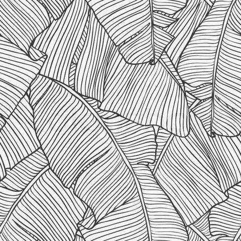 Palm Leaf Sketch at PaintingValley.com | Explore collection of Palm ...