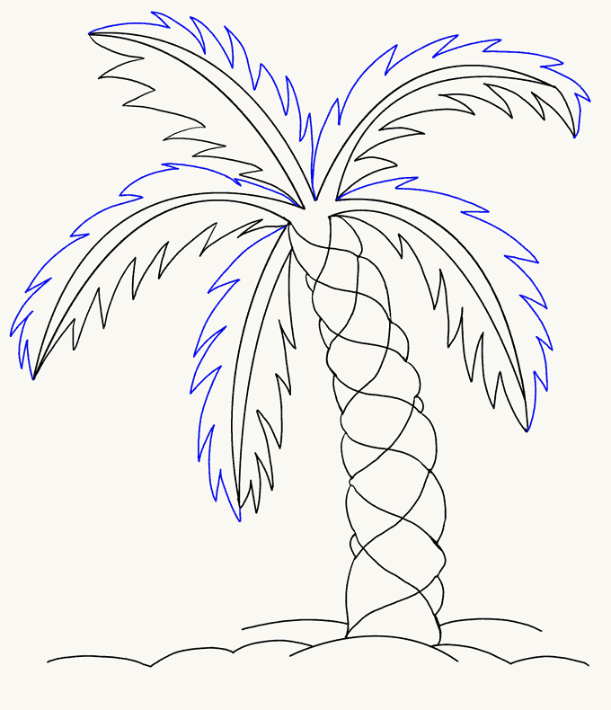 680x790 How To Draw A Palm Tree Easy Drawing Guides - Palm Leaf Sketch